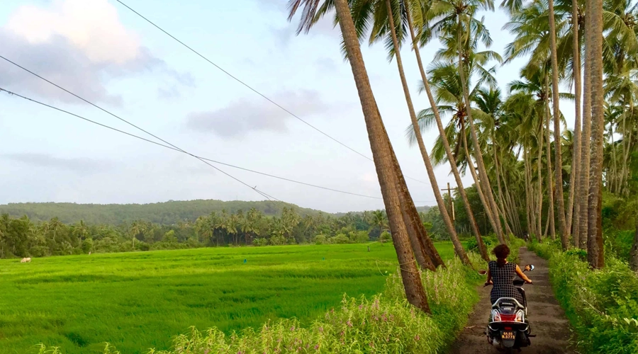 تور کامل گوا از اصفهان با اقامت و تفریحات