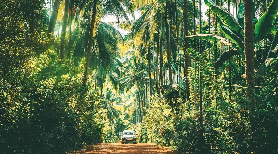 سفر به گوا از اصفهان، تجربه‌ای متفاوت در سواحل هند