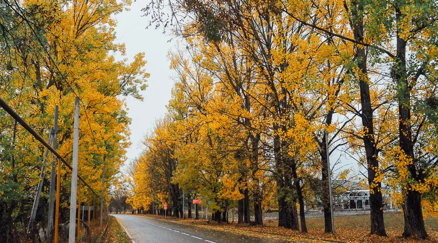 در سفر پاییز به تفلیس از چه جاذبه هایی دیدن کنیم