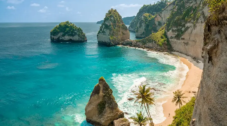 جزایر استوایی با نخلهای بلند